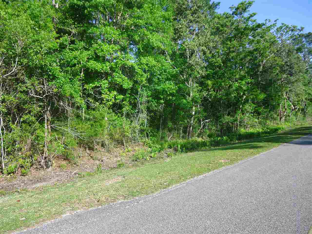 0 Hammock Road Elberta, AL 36530 - Photo 1 of 15