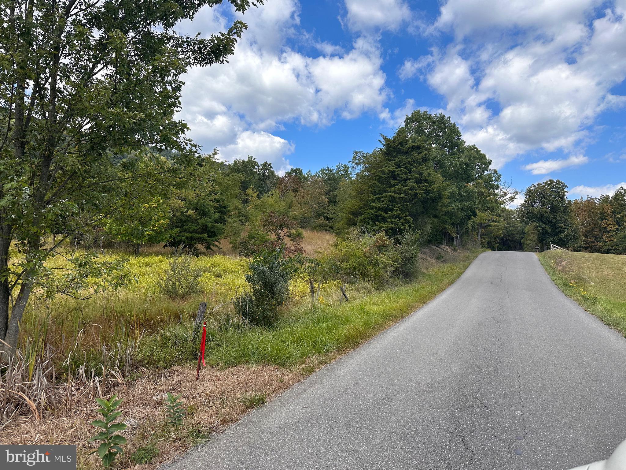 Knobley Road Keyser, WV 26726 - Photo 16 of 19