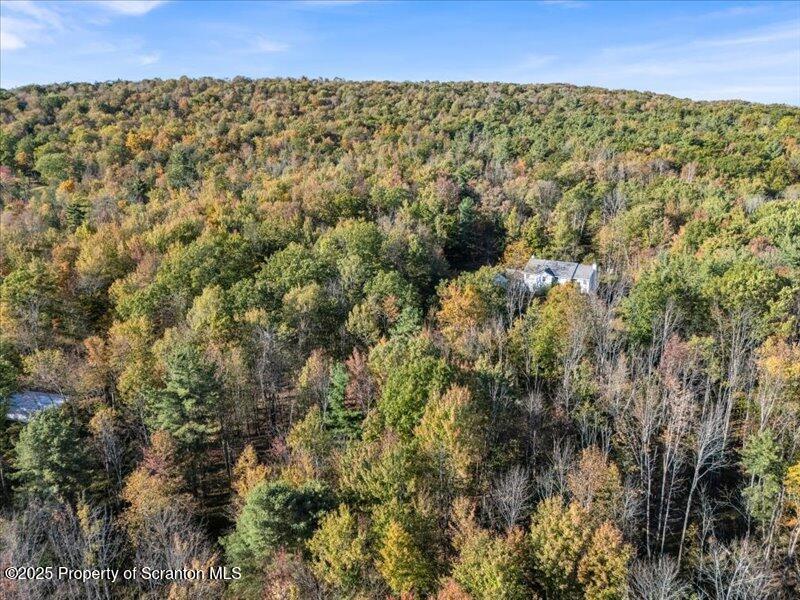 1689 Cork Hill Road Brackney, PA 18812 - Photo 6 of 14 a view of a city