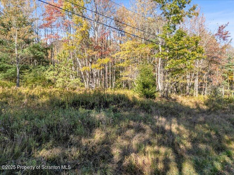 1689 Cork Hill Road Vestal, PA 13850 - Photo 6 of 7 a view of a yard