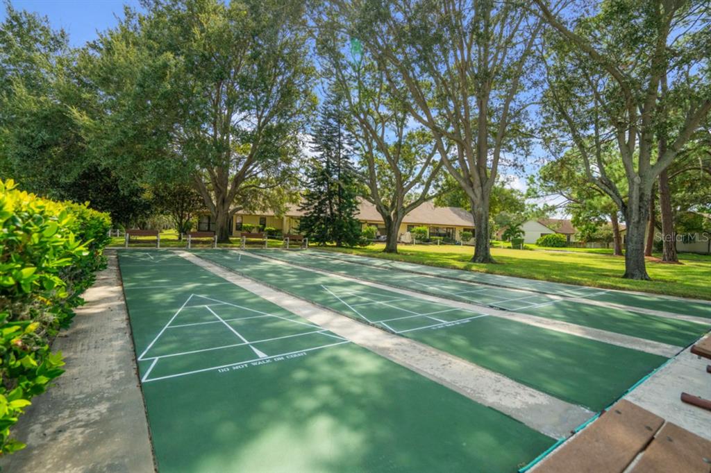 2538 Oakleaf Lane, Unit 33B Clearwater, FL 33763 - Photo 50 of 60