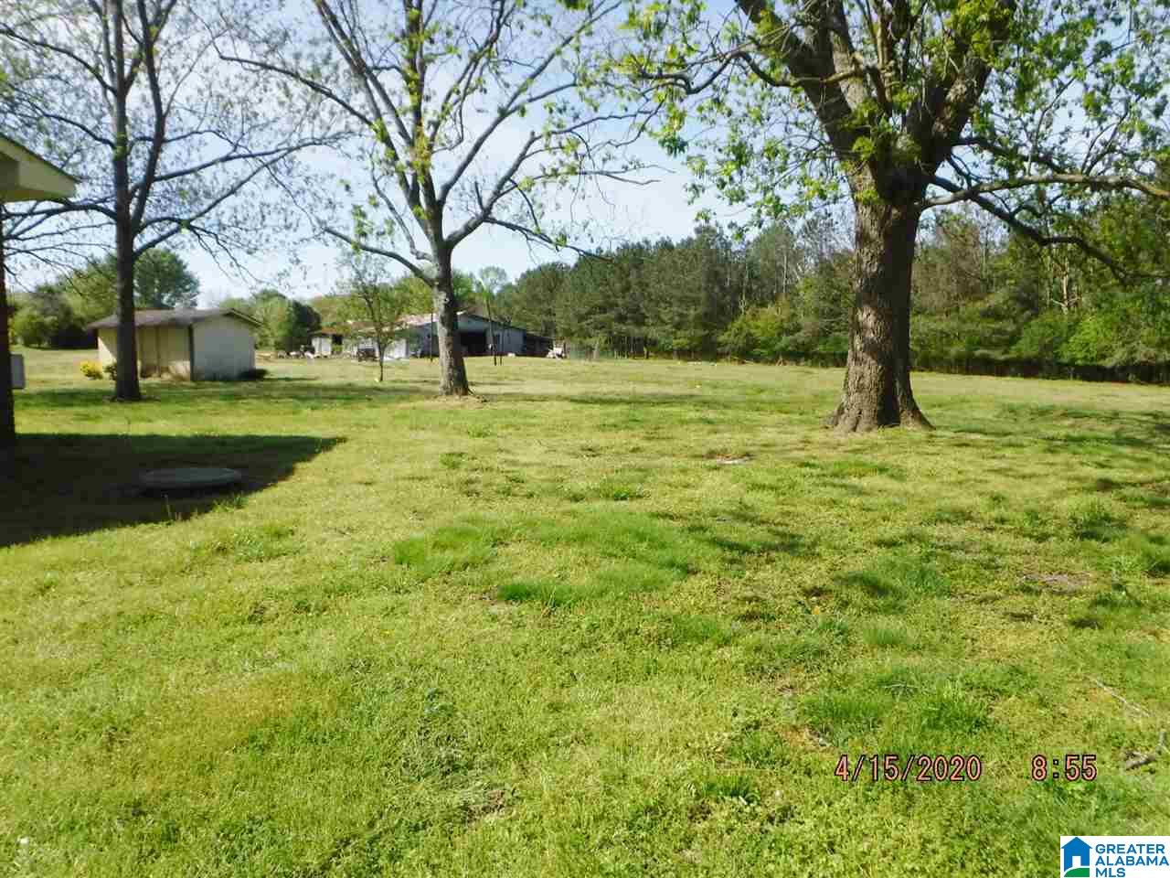 2494 Church Avenue Northwest Rainsville, AL 35986 - Photo 30 of 32