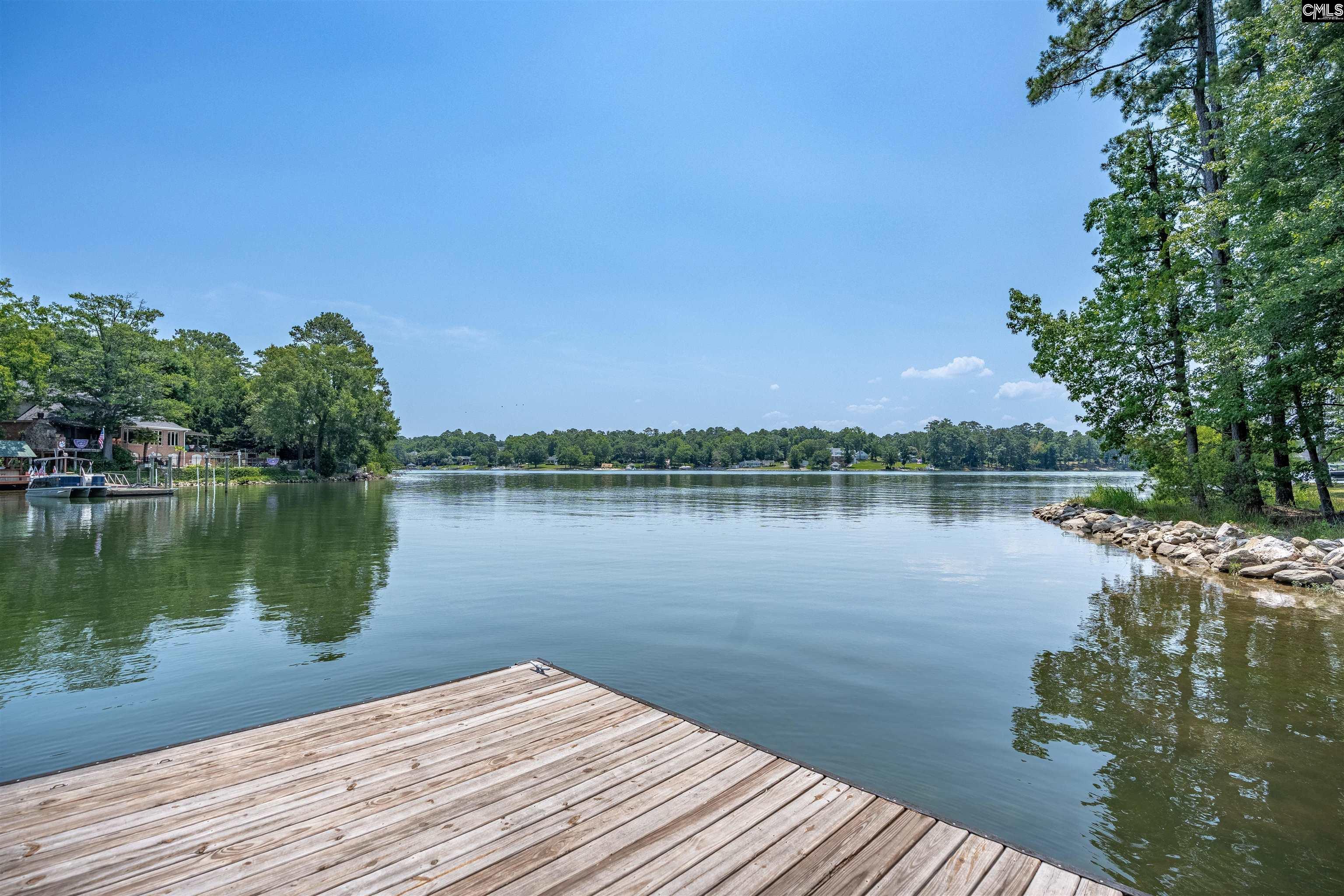 331 3 Point Road Chapin, SC 29036 - Photo 60 of 89