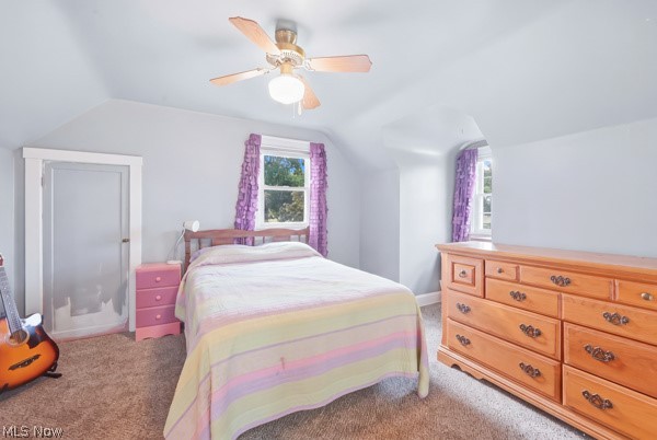 495 Mathews Road Youngstown, OH 44512 - Photo 22 of 33 Gallery Image 22