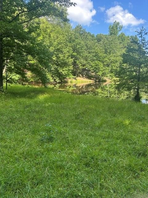 620 Eva Flatwoods Road Eva, TN 38333 - Photo 35 of 40