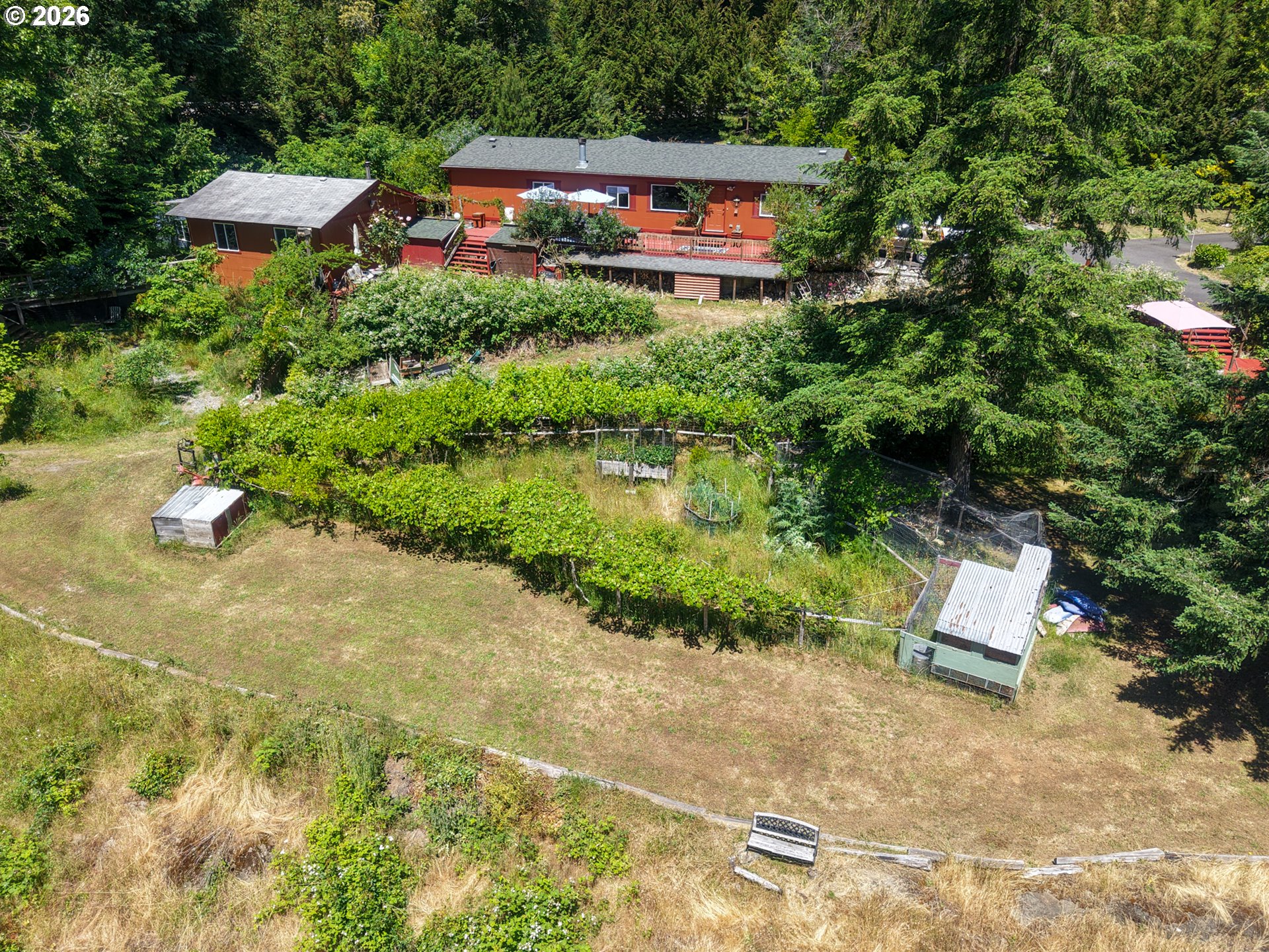 44688 Highway 242 Myrtle Point, OR 97458 - Photo 2 of 39
