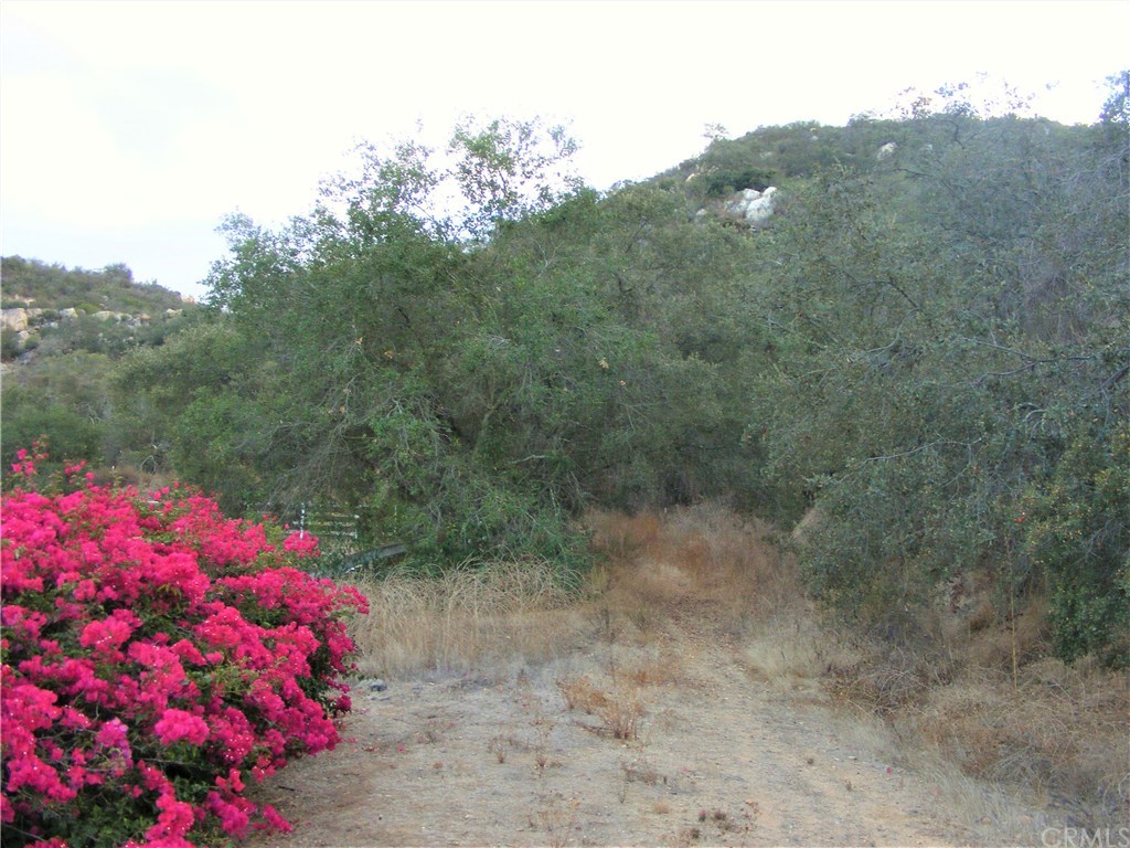 2 Rainbow Glen Fallbrook, CA 92028 - Photo 2 of 21 Gallery Image 2