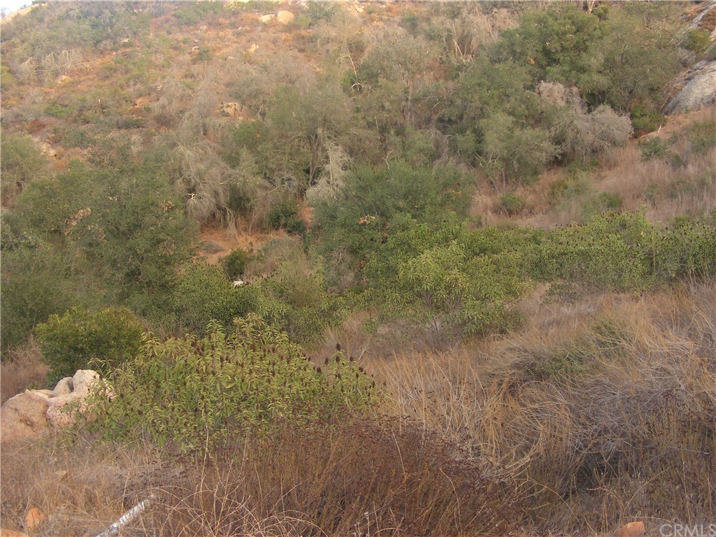 2 Rainbow Glen Fallbrook, CA 92028 - Photo 15 of 21 Gallery Image 15