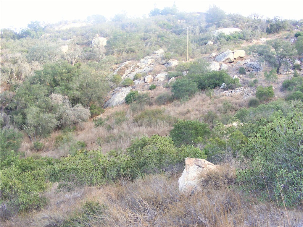 2 Rainbow Glen Fallbrook, CA 92028 - Photo 16 of 21 Gallery Image 16