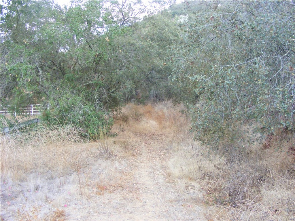 2 Rainbow Glen Fallbrook, CA 92028 - Photo 3 of 21 Gallery Image 3