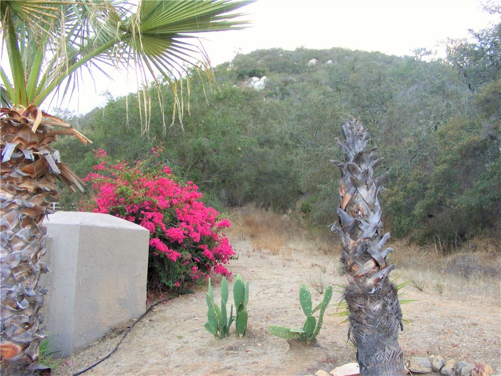 2 Rainbow Glen Fallbrook, CA 92028 - Photo 6 of 21 Gallery Image 6
