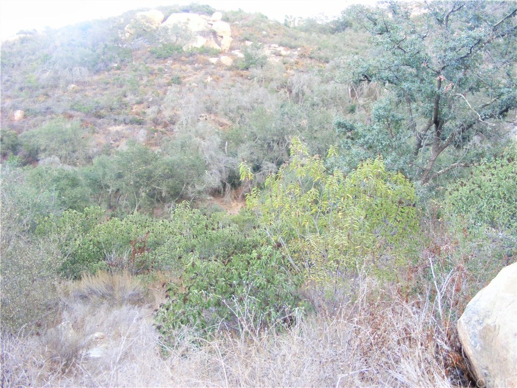 2 Rainbow Glen Fallbrook, CA 92028 - Photo 7 of 21 Gallery Image 7
