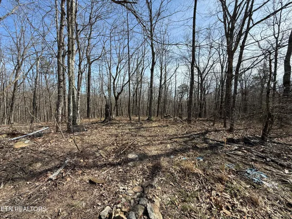 $66,500 | Lot 69 West Log Rd Spring, Spring City, TN 37381