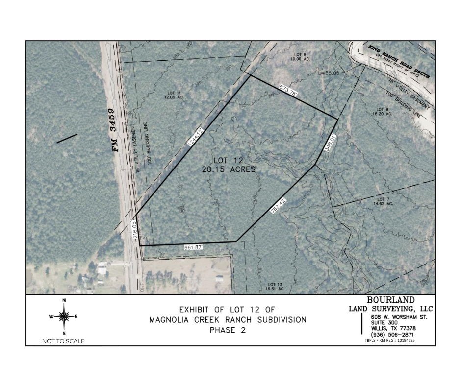 212 Fm 3459 Road Onalaska, TX 77360 - Photo 12 of 14