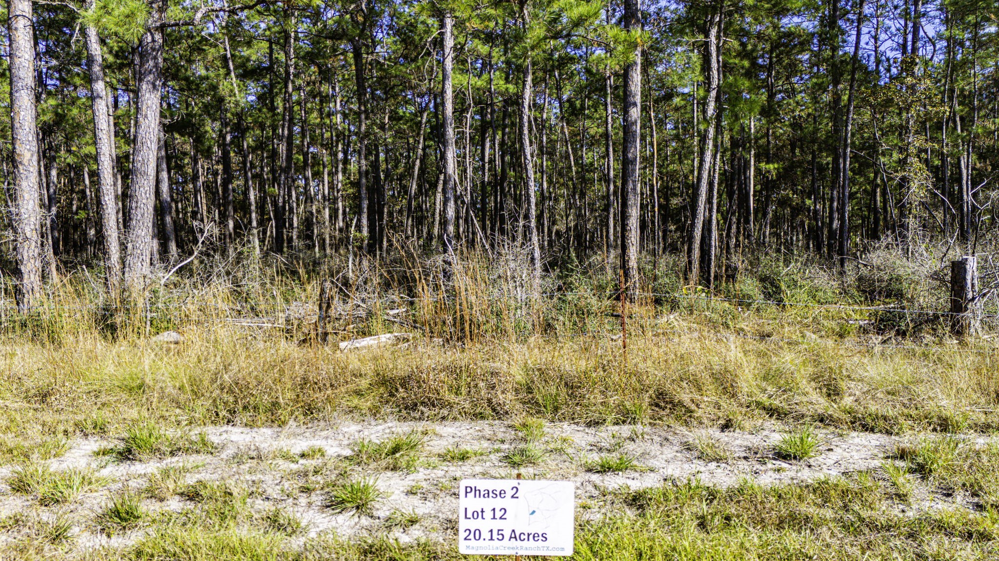 212 Fm 3459 Road Onalaska, TX 77360 - Photo 5 of 14