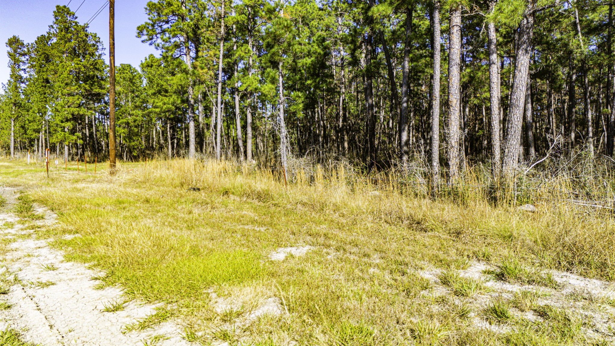 212 Fm 3459 Road Onalaska, TX 77360 - Photo 7 of 14