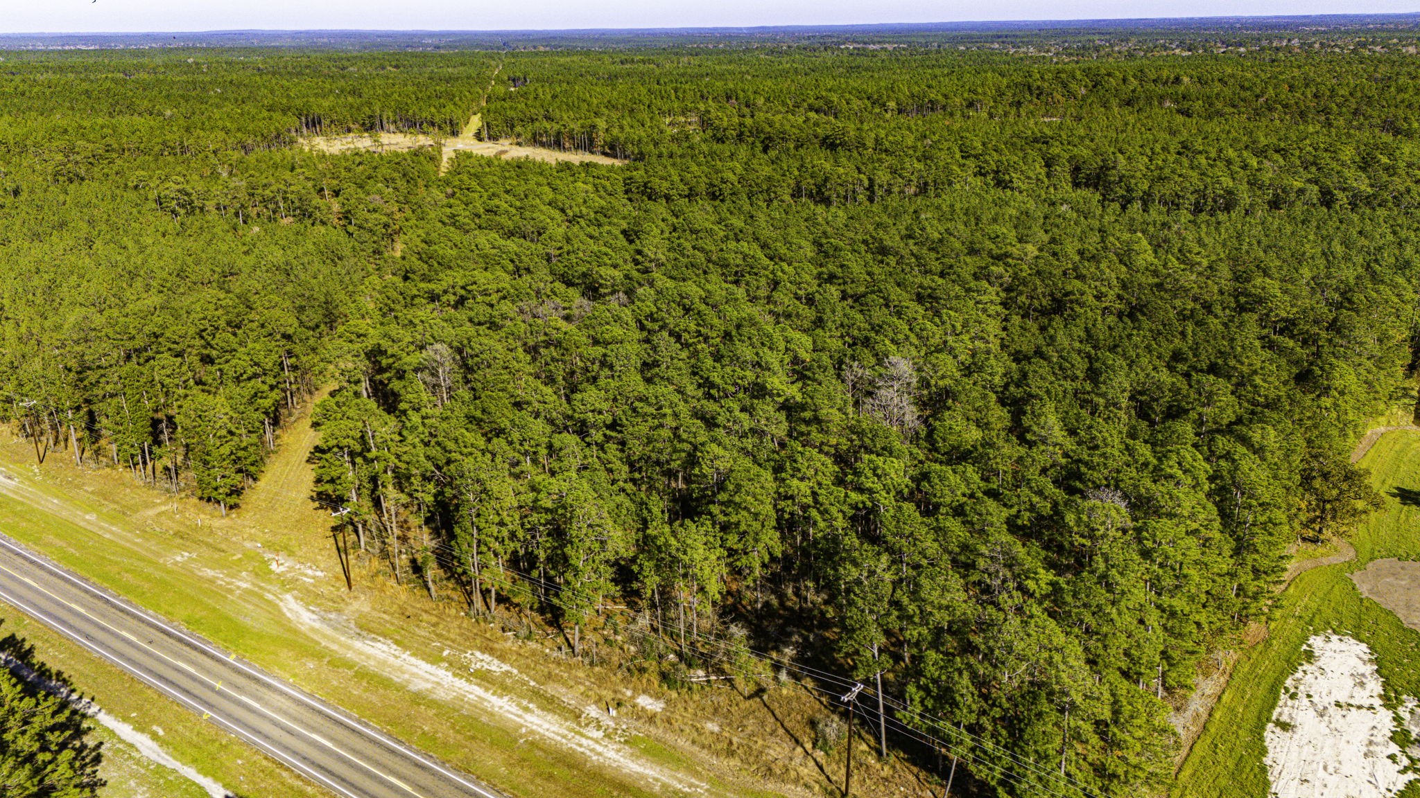 212 Fm 3459 Road Onalaska, TX 77360 - Photo 9 of 14