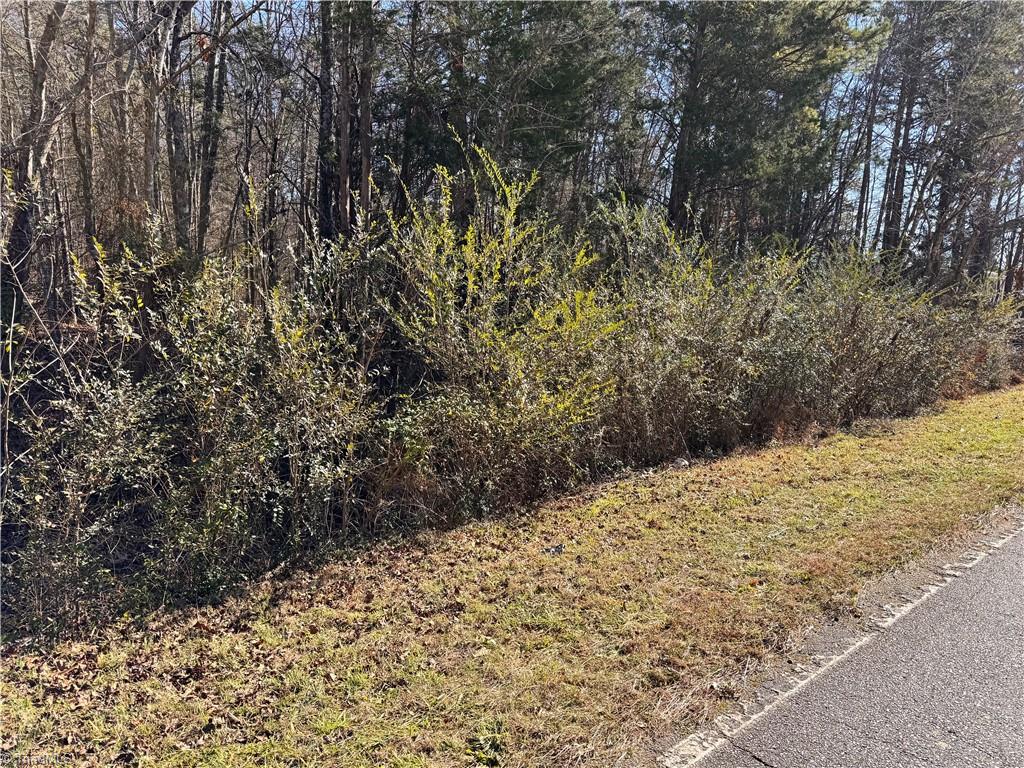 0 New Cut Road Lexington, NC 27292 - Photo 2 of 5
