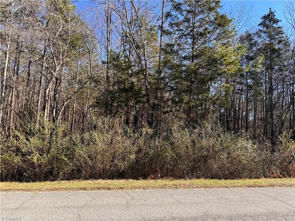 0 New Cut Road Lexington, NC 27292 - Photo 3 of 5