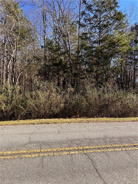0 New Cut Road Lexington, NC 27292 - Photo 4 of 5