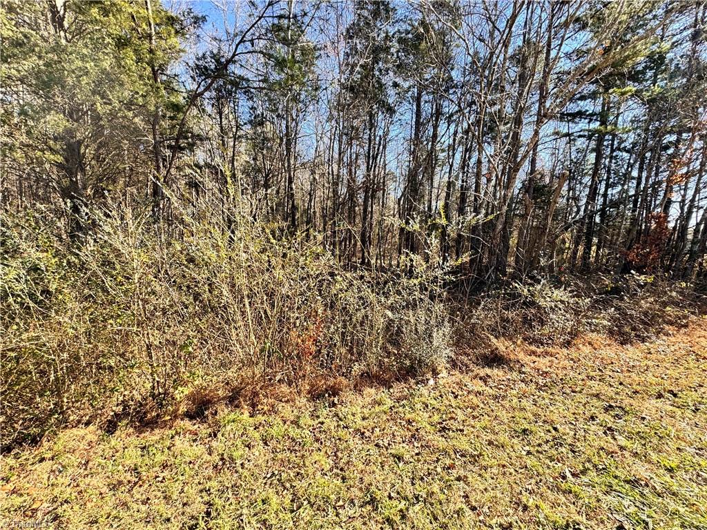 0 New Cut Road Lexington, NC 27292 - Photo 5 of 5