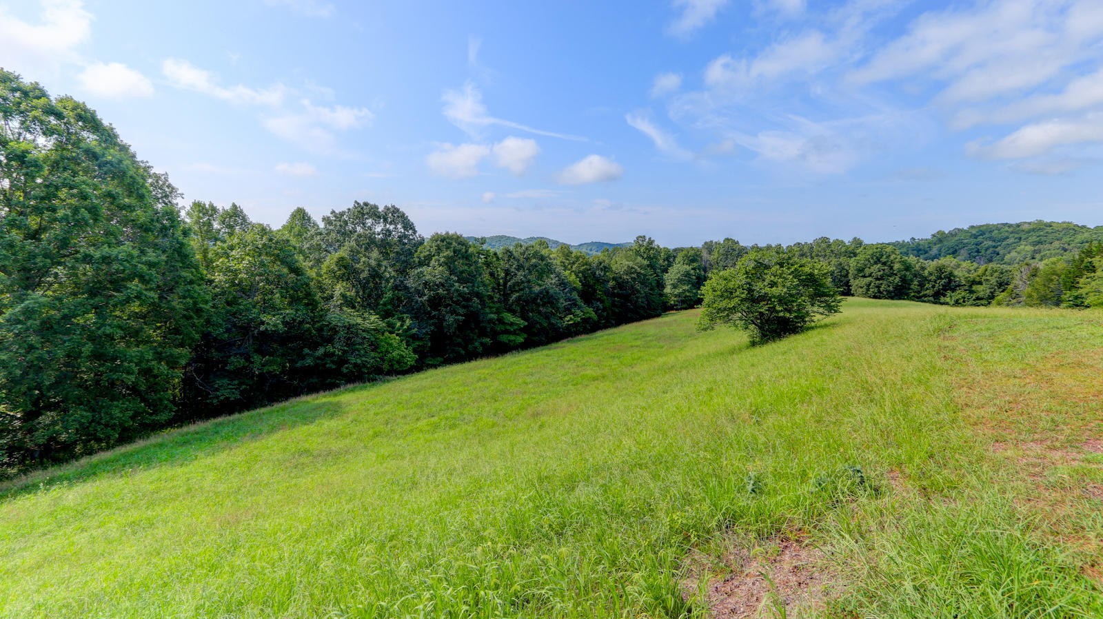 346 Myers Road Kingston, TN 37763 - Photo 35 of 39 Gallery Image 35