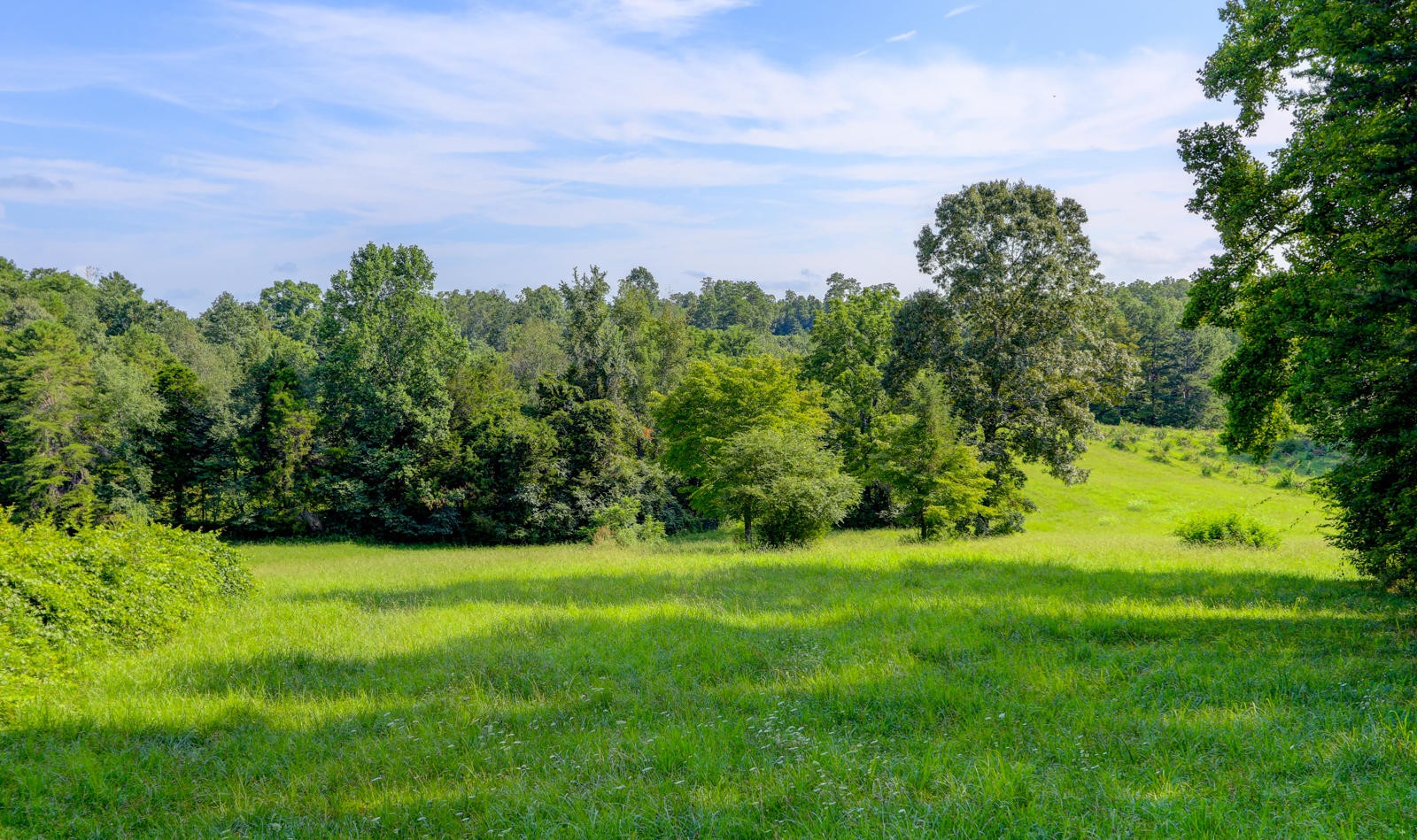 346 Myers Road Kingston, TN 37763 - Photo 39 of 39 Gallery Image 39