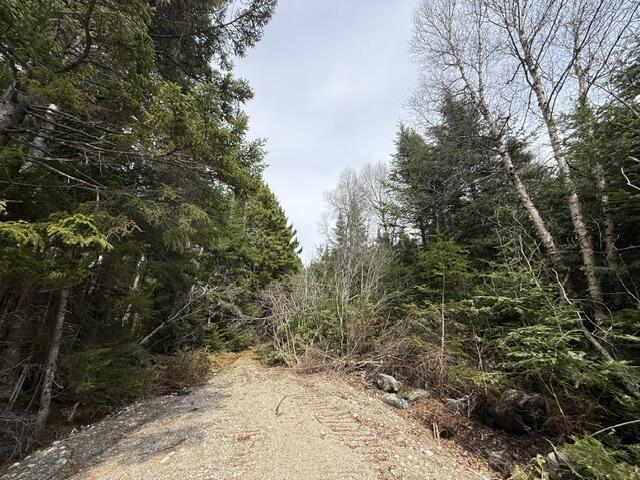 Lot 4 Holmes Bay Farms Road Whiting, ME 04691 - Photo 7 of 18 IMG_9128