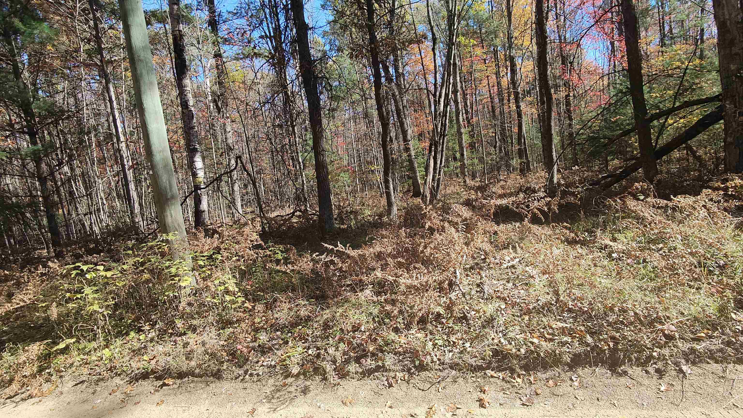 0 Timber Trail Prescott, MI 48756 - Photo 33 of 44