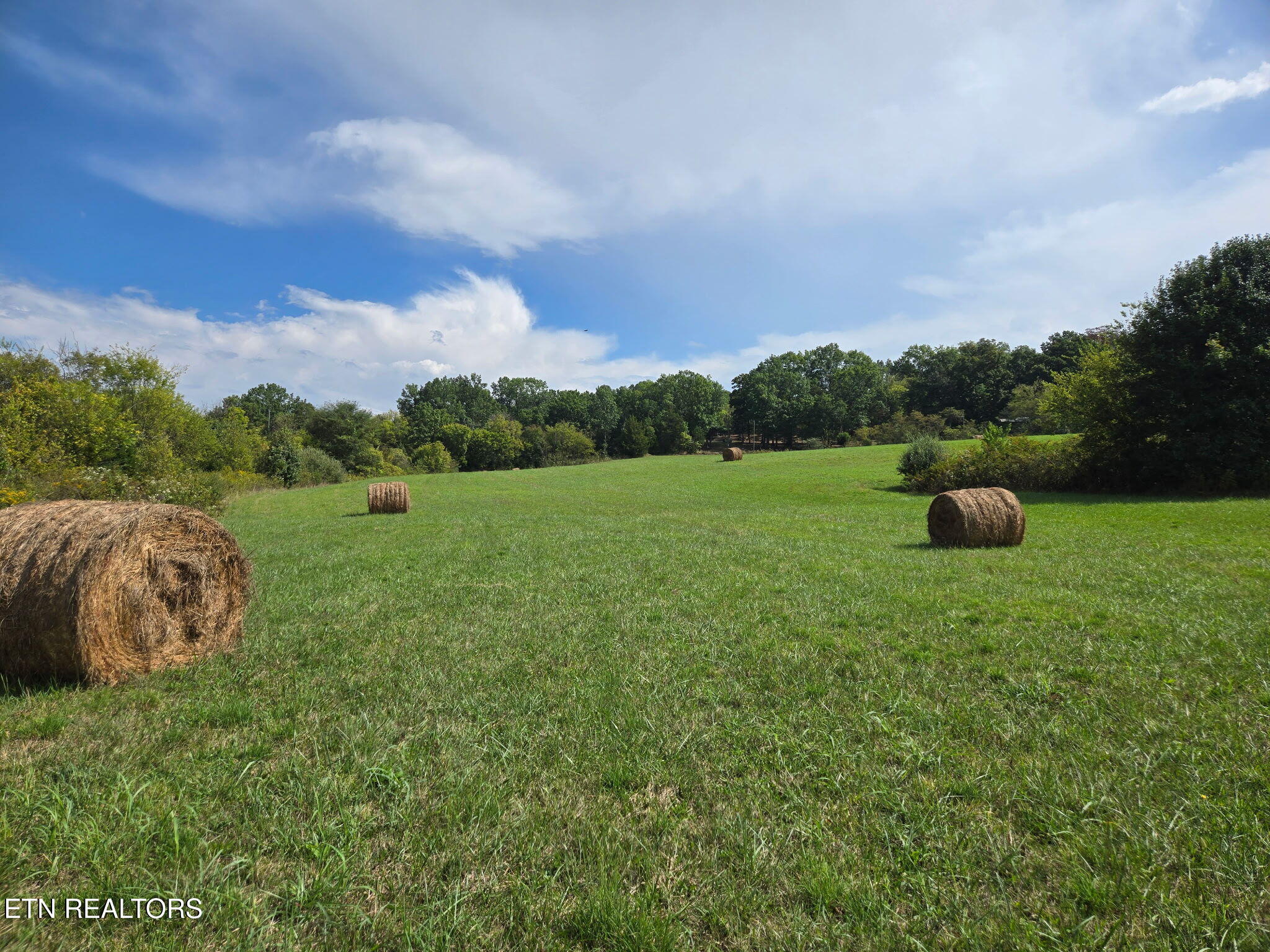 Hiwassee Road Sweetwater, TN 37874 - Photo 8 of 13 8222358929052348800