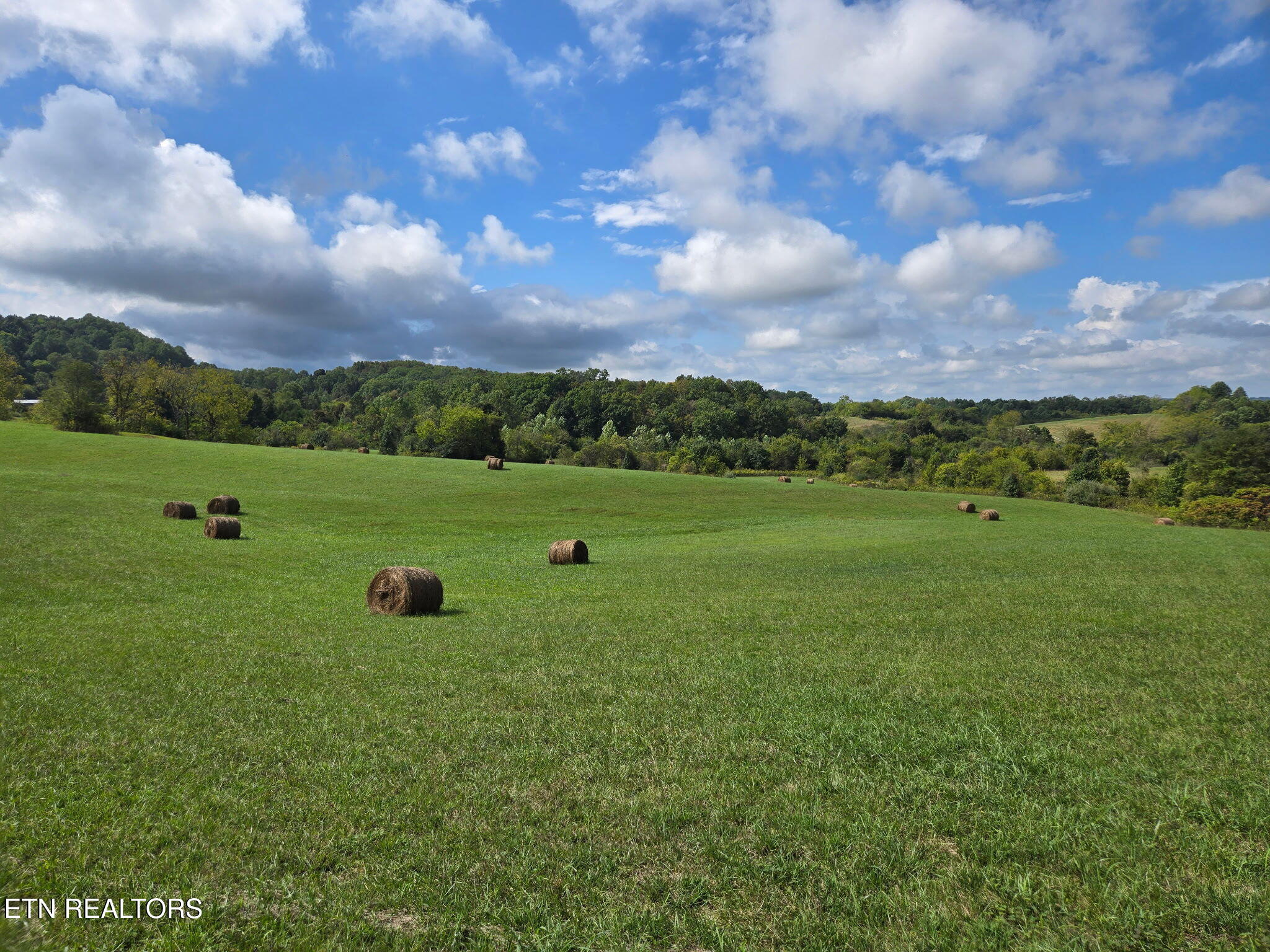 Hiwassee Road Sweetwater, TN 37874 - Photo 10 of 13 3204150111144124838