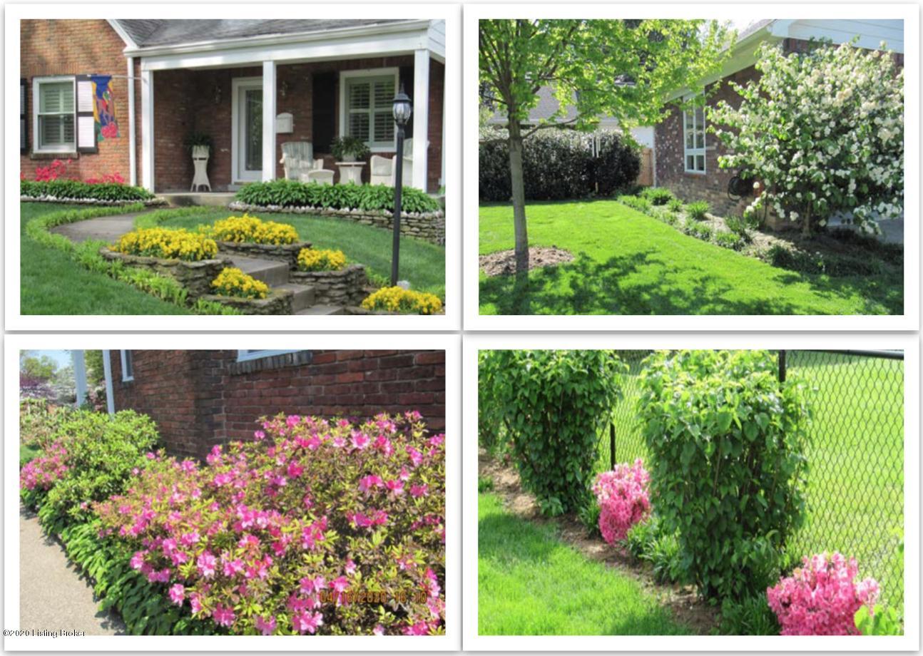 3214 Chickadee Road Louisville, KY 40213 - Photo 59 of 61 All the plantings - Gorgeous.