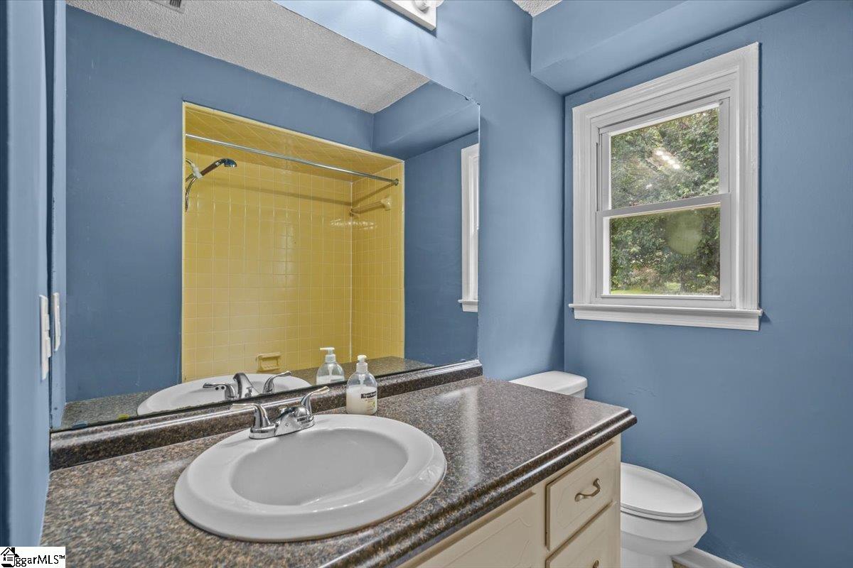 107 Grapevine Lane Liberty, SC 29657 - Photo 17 of 30