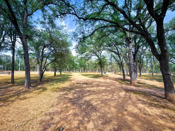 a view of a yard with a tree
