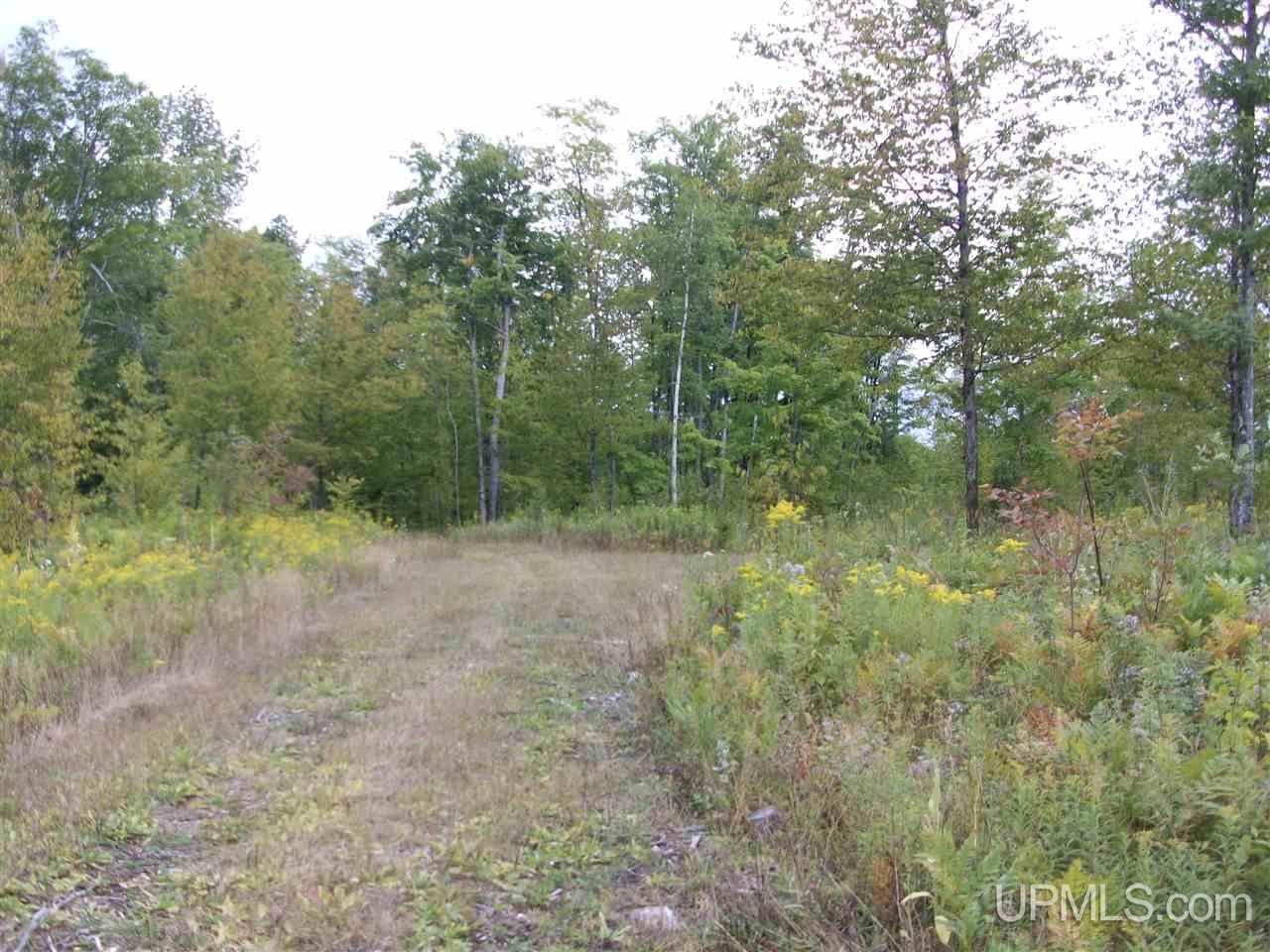 Tbd Fordville Road Foster City, MI 49807 - Photo 1 of 18