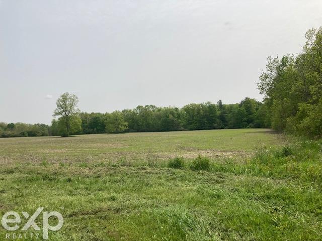 0 Walker Road North Street, MI 48049 - Photo 5 of 17