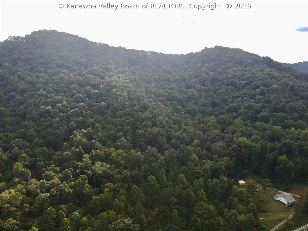 0 Ridgeview Nellis Road Foster, WV 25081 - Photo 1 of 1 Gallery Image 1