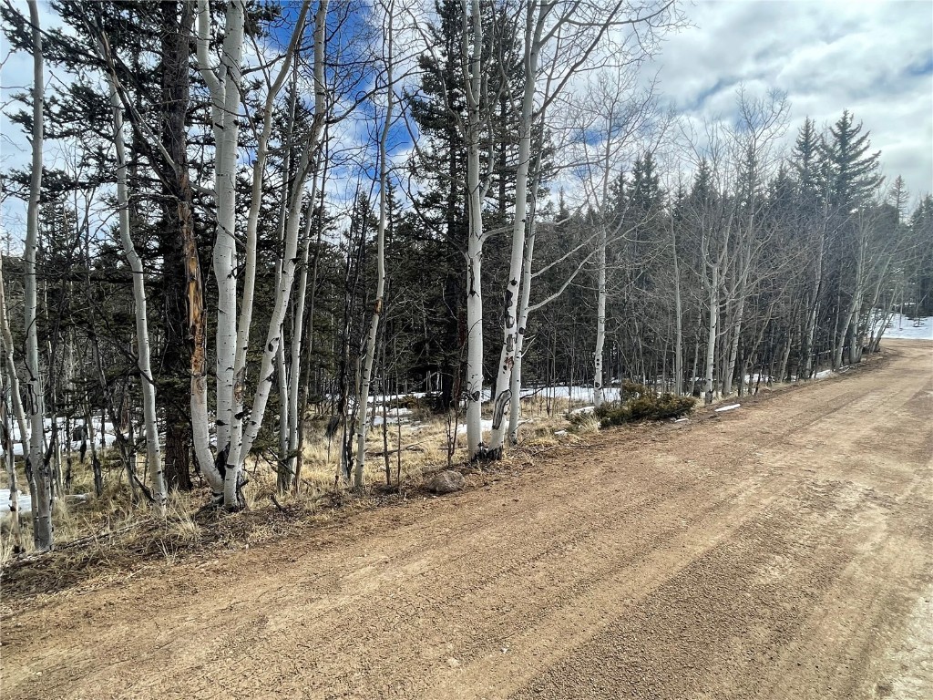 80 Haida Road Como, CO 80456 - Photo 29 of 31 a view of outdoor space with trees