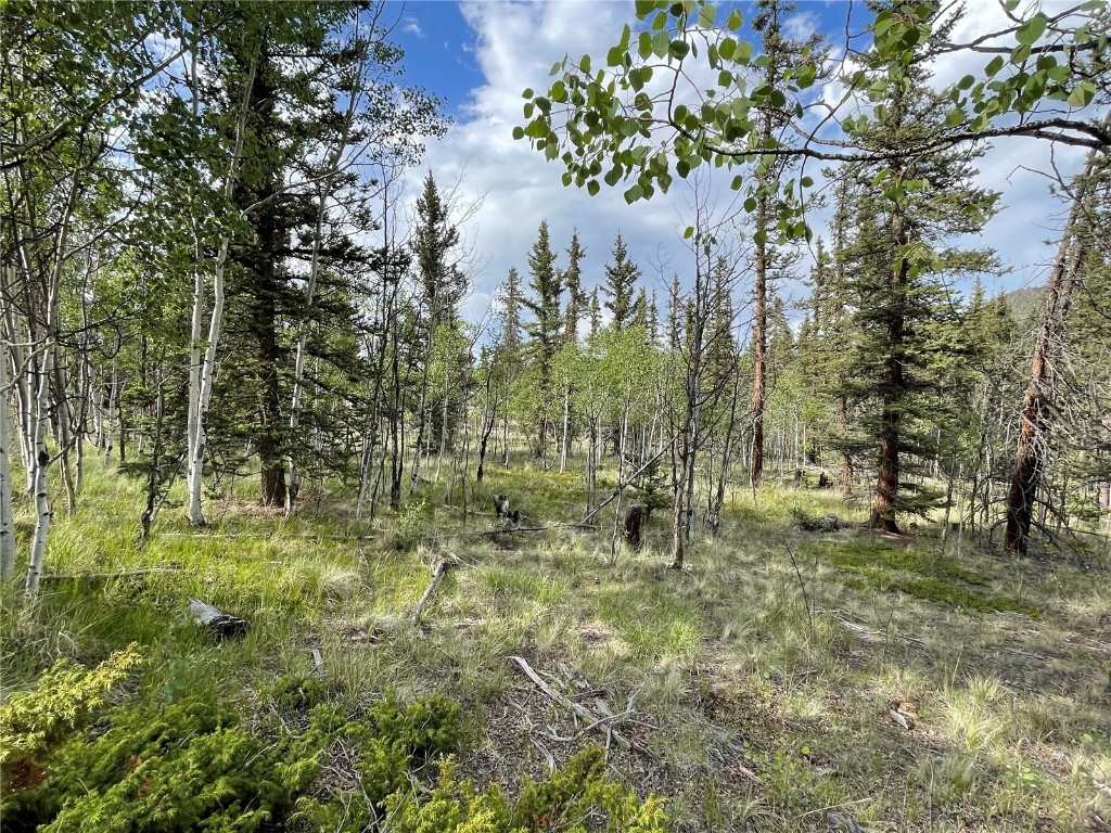 80 Haida Road Como, CO 80456 - Photo 4 of 31 a view of outdoor space with trees all around