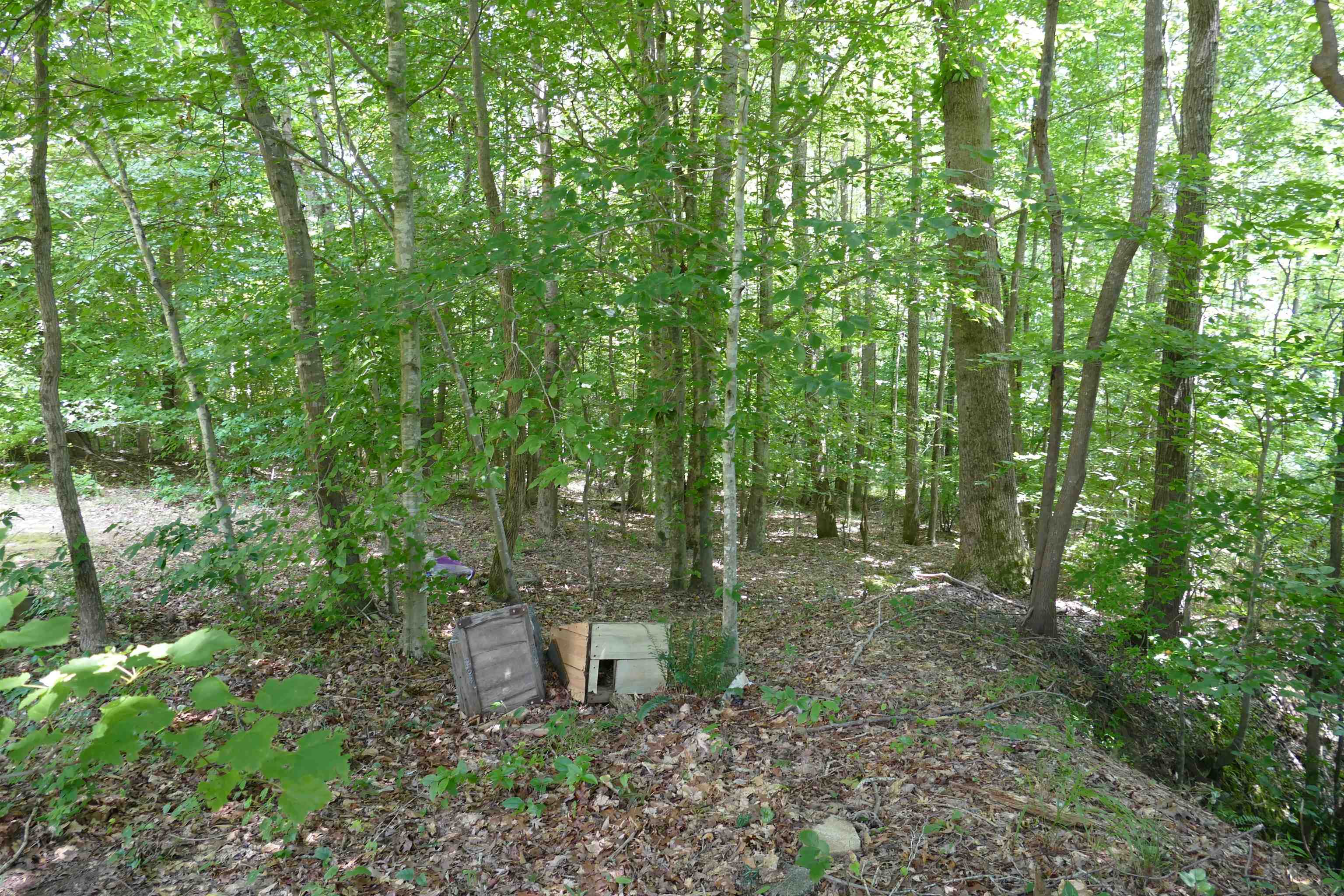 188 Vestas Road Gaffney, SC 29340 - Photo 24 of 34