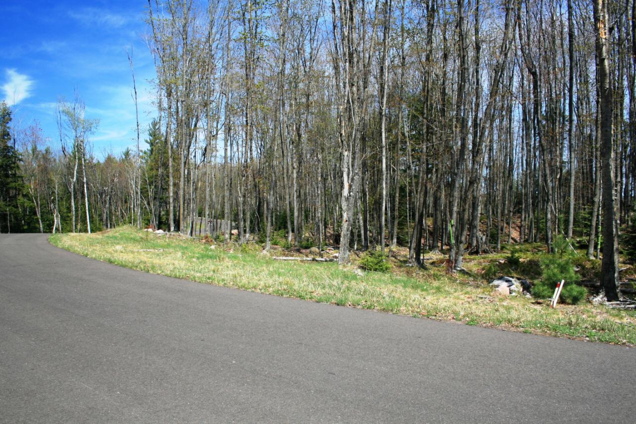 Tbd Hewitt Road, Unit 30 Mercer, WI 54547 - Photo 20 of 21 Gallery Image 20