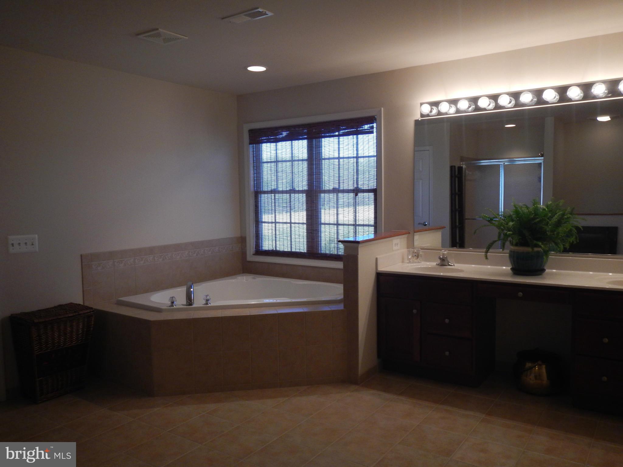 13602 Union Church Road Sumerduck, VA 22742 - Photo 19 of 30 a spacious bathroom with a sink a large mirror and a bathtub