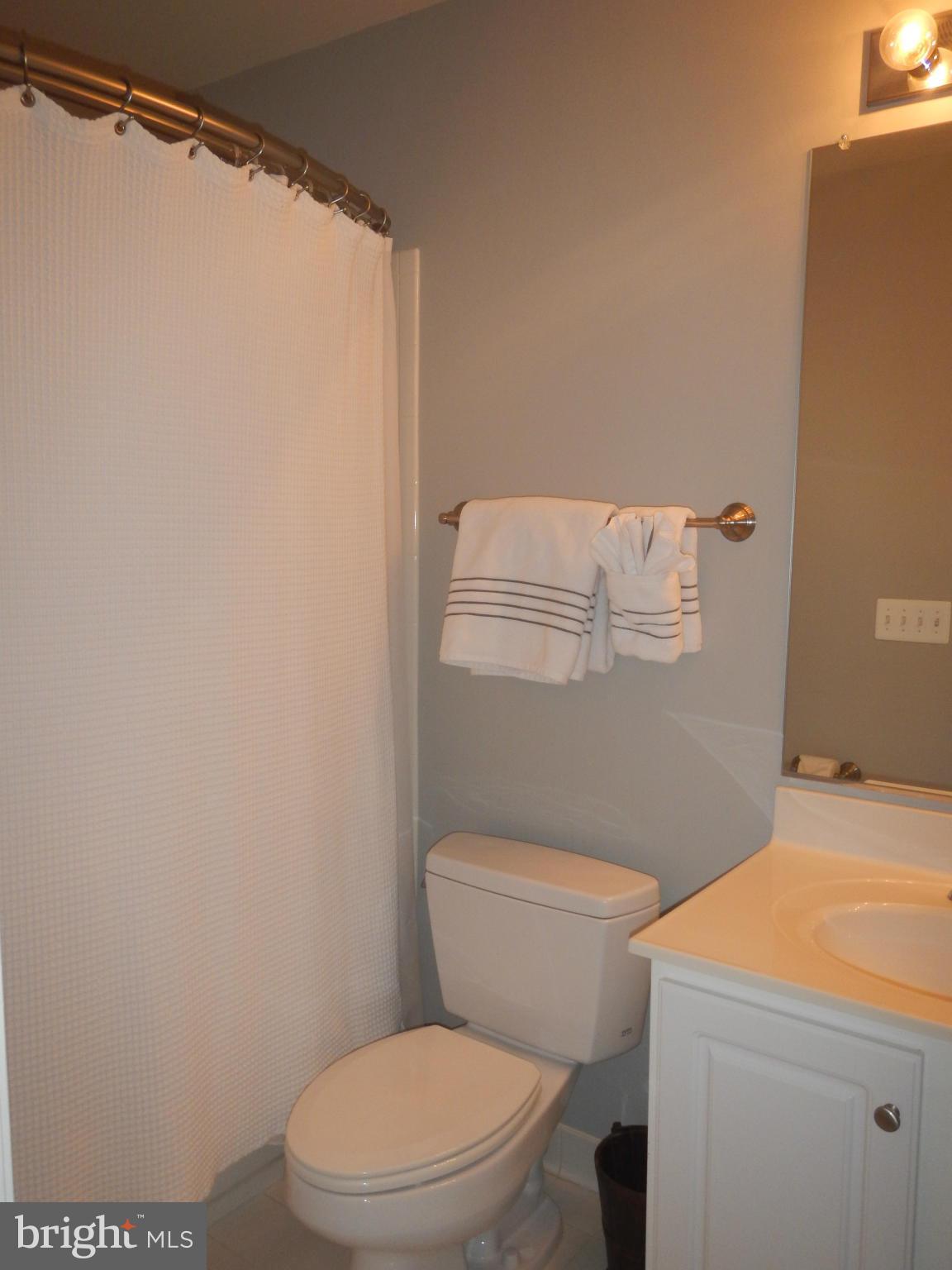 13602 Union Church Road Sumerduck, VA 22742 - Photo 24 of 30 a white toilet sitting next to a shower curtain