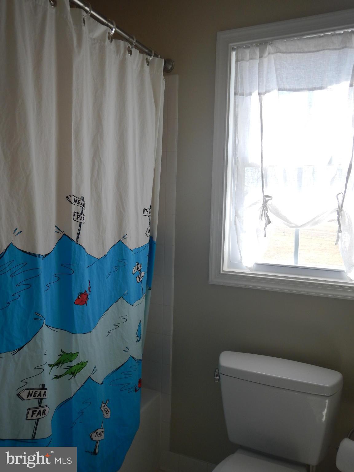 13602 Union Church Road Sumerduck, VA 22742 - Photo 29 of 30 a bathroom with a toilet and a shower