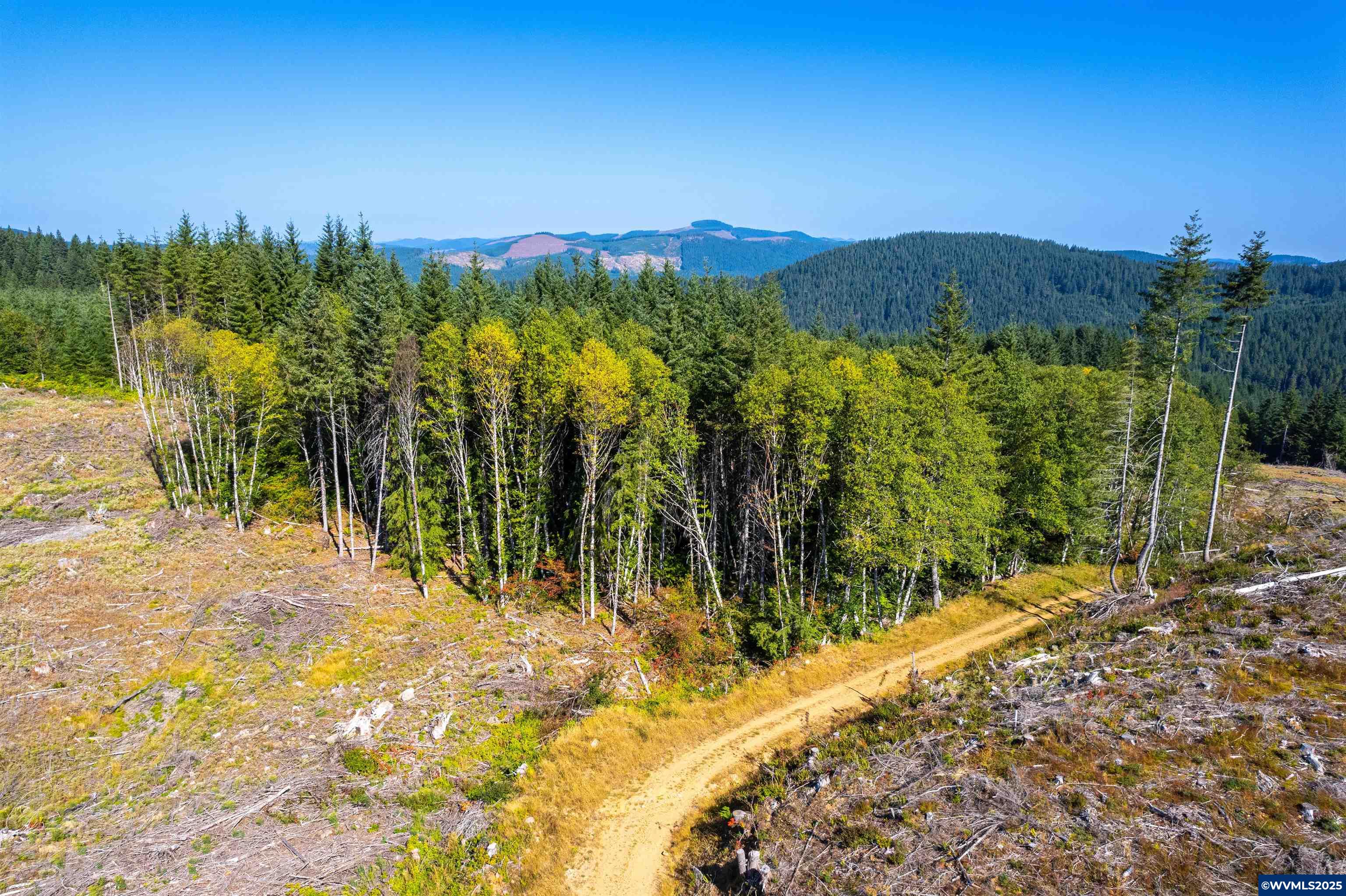 0 Bald Mountain Access Road Willamina, OR 97396 - Photo 14 of 30