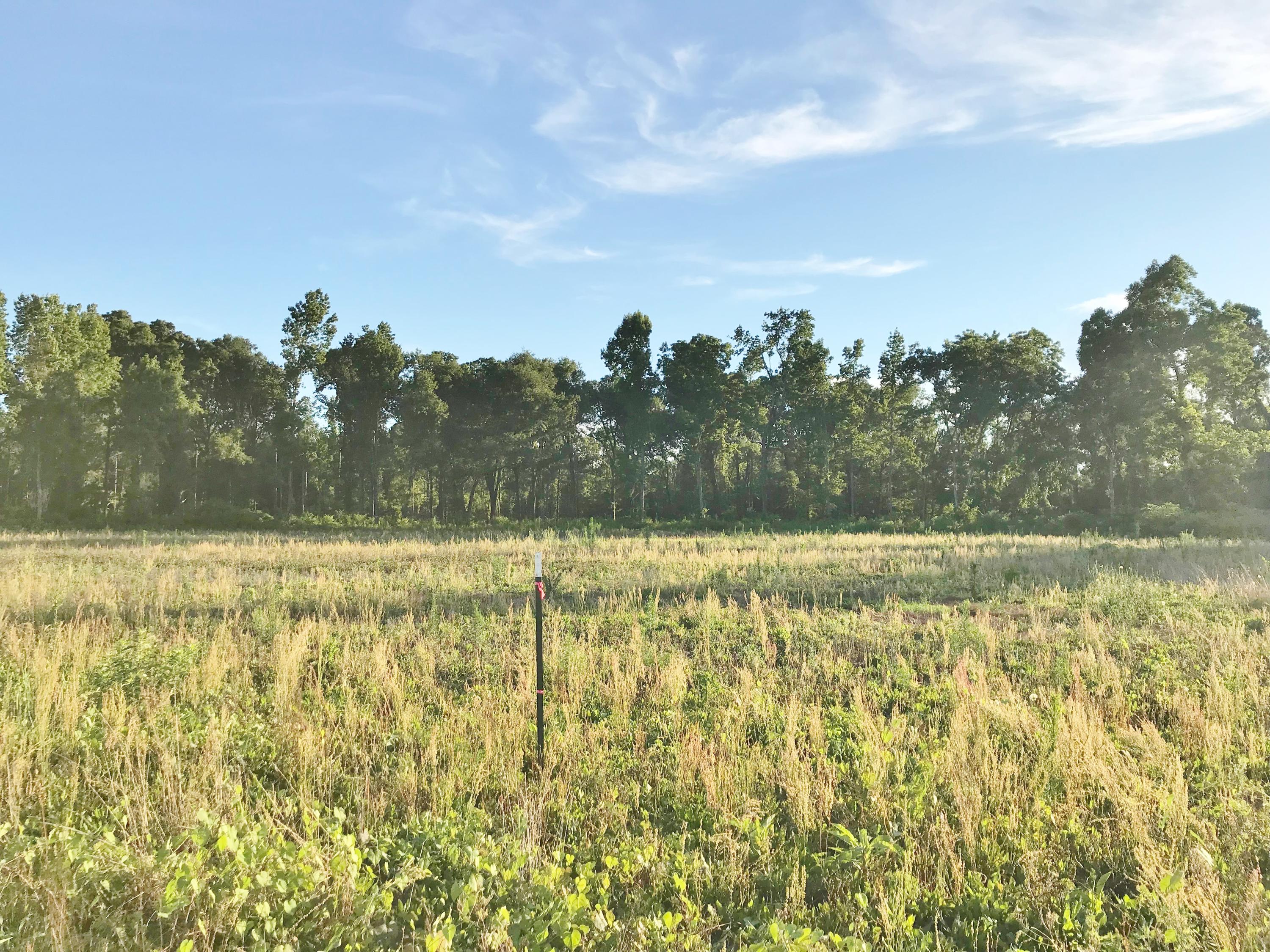 Lot 2 State Road Holly Hill, SC 29059 - Photo 1 of 1 Lot 2