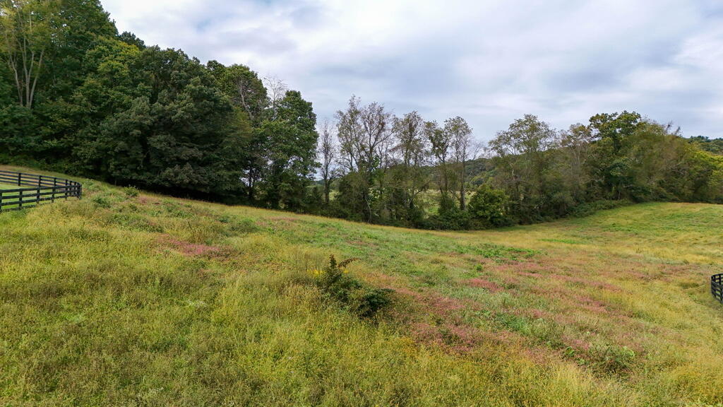 29458 Blue Spring Road Meadowview, VA 24361 - Photo 9 of 104 Gallery Image 9