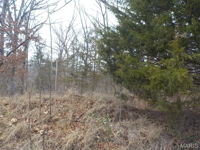 $7,000 | 1977 Red Bud Drive, Lake Timberline, MO 63628