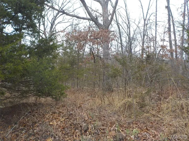 $7,000 | 1977 Red Bud Drive, Lake Timberline, MO 63628