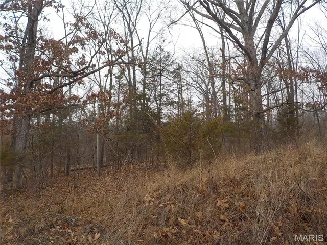 $7,000 | 1977 Red Bud Drive, Lake Timberline, MO 63628